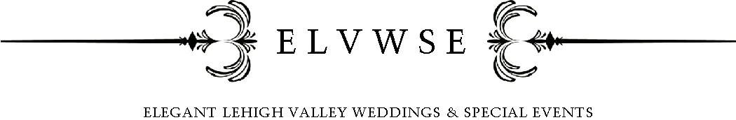 ELVWSE Logo